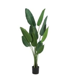 Artificial Plant - Traveller's Palm - 1.6m