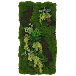 Reindeer Moss Panel Display (Pollyanna)