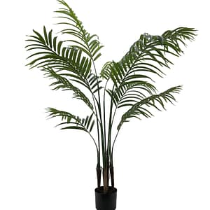 artificial plant - 307440414 - areca palm (1.5m)
