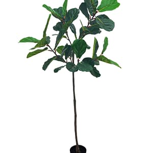 artificial plant - fiddle leaf fig tree (180cm)