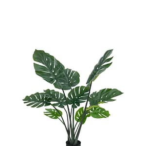 307441614 - 1.5m monstera leaf plant