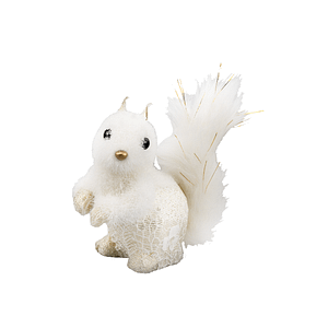 White Squirrel