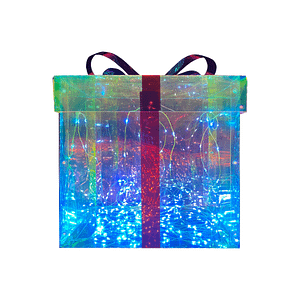 Square Gift Box Iridescent